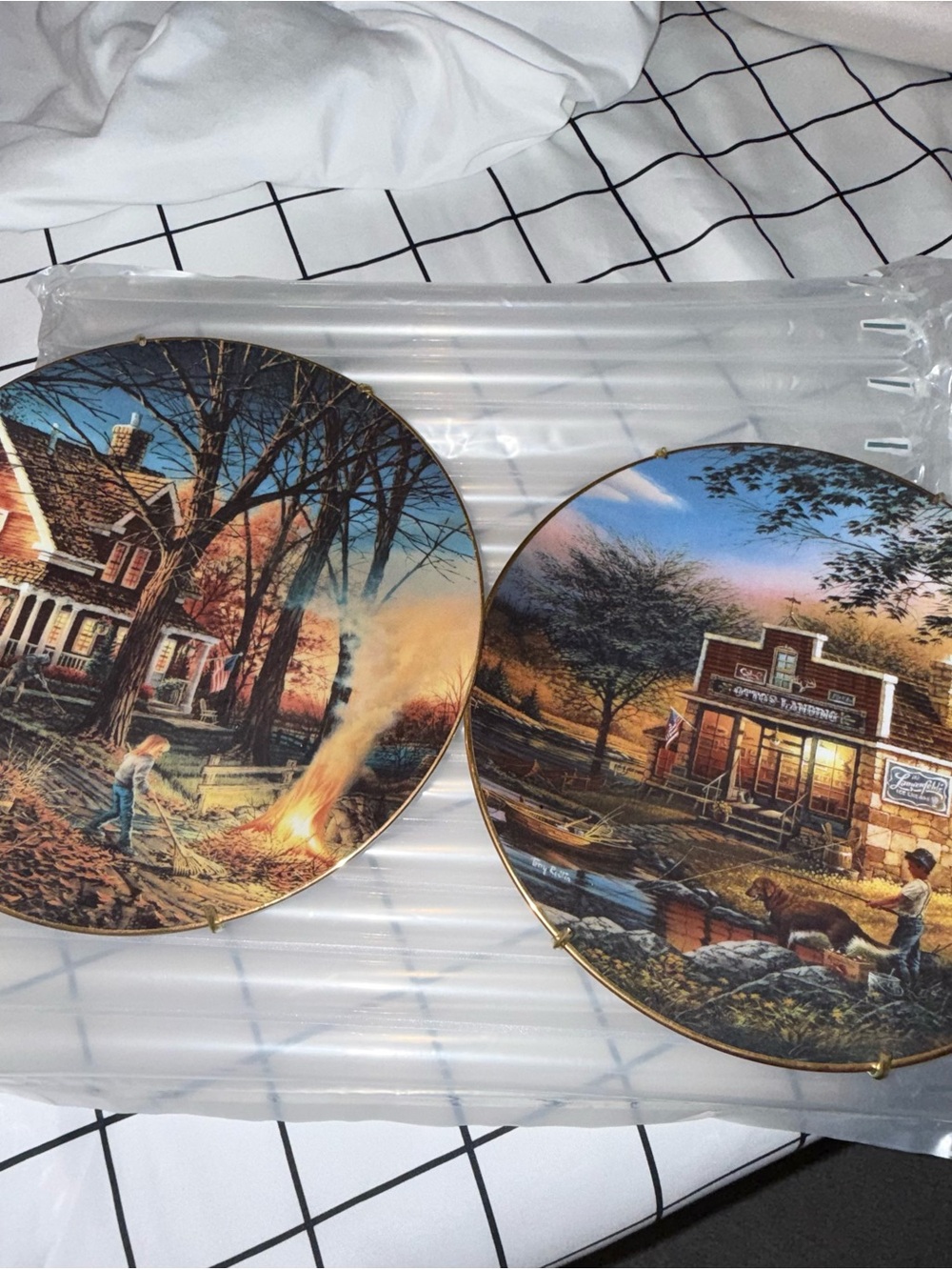 Vintage Terry Redlin display plates autumn and summer